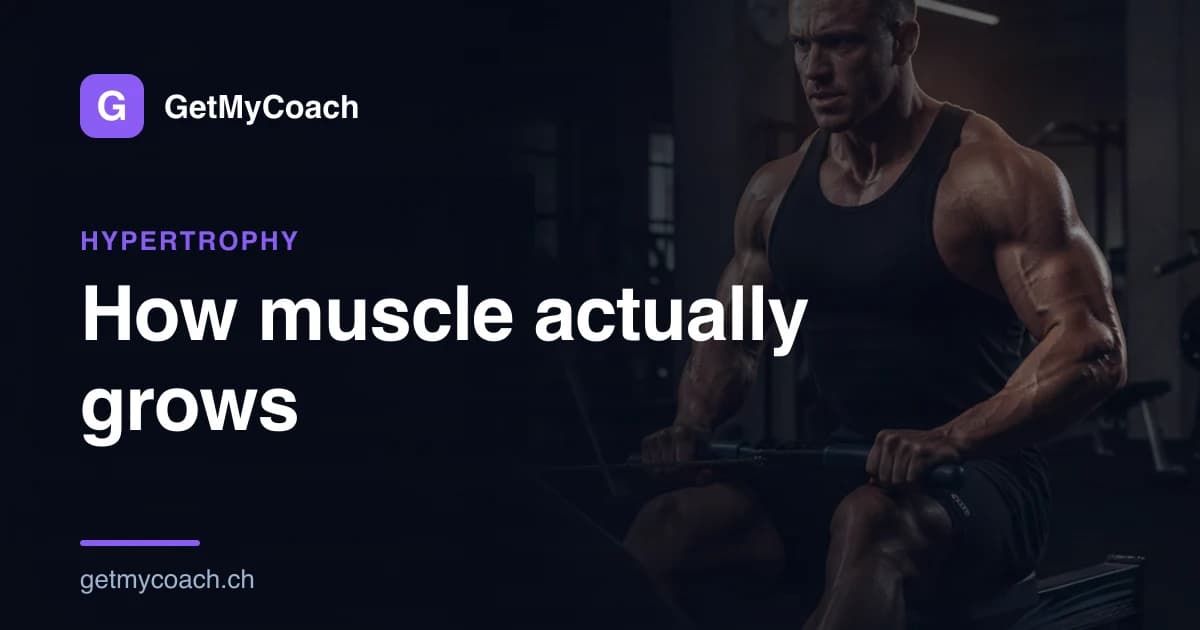 GetMyCoach cover graphic for the article on how muscle actually grows.